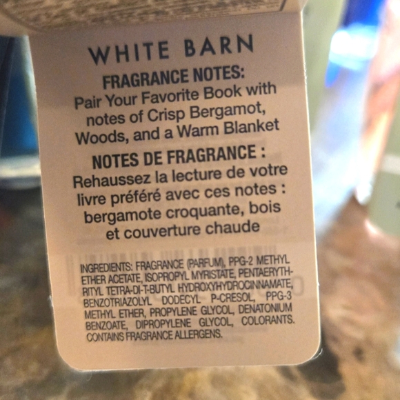 Book Loft + Clean House 🏠 Vibes WALLFLOWER - Picture 4 of 6